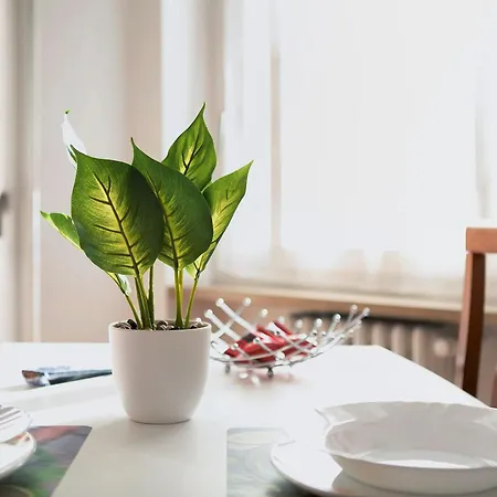 Apartament Maison Etoile - Stella Aosta